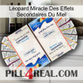 Léopard Miracle Des Effets Secondaires Du Miel kamagra1